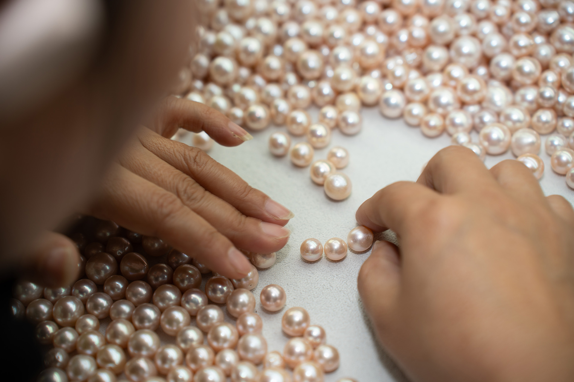 Field Expedition of Pearls