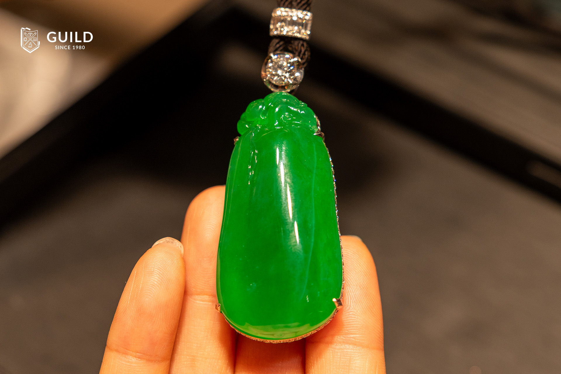 Field Expeditions of Feicui Program