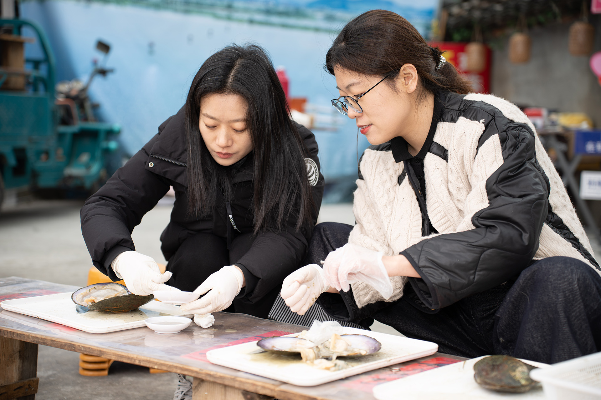 Field Expedition of Pearls