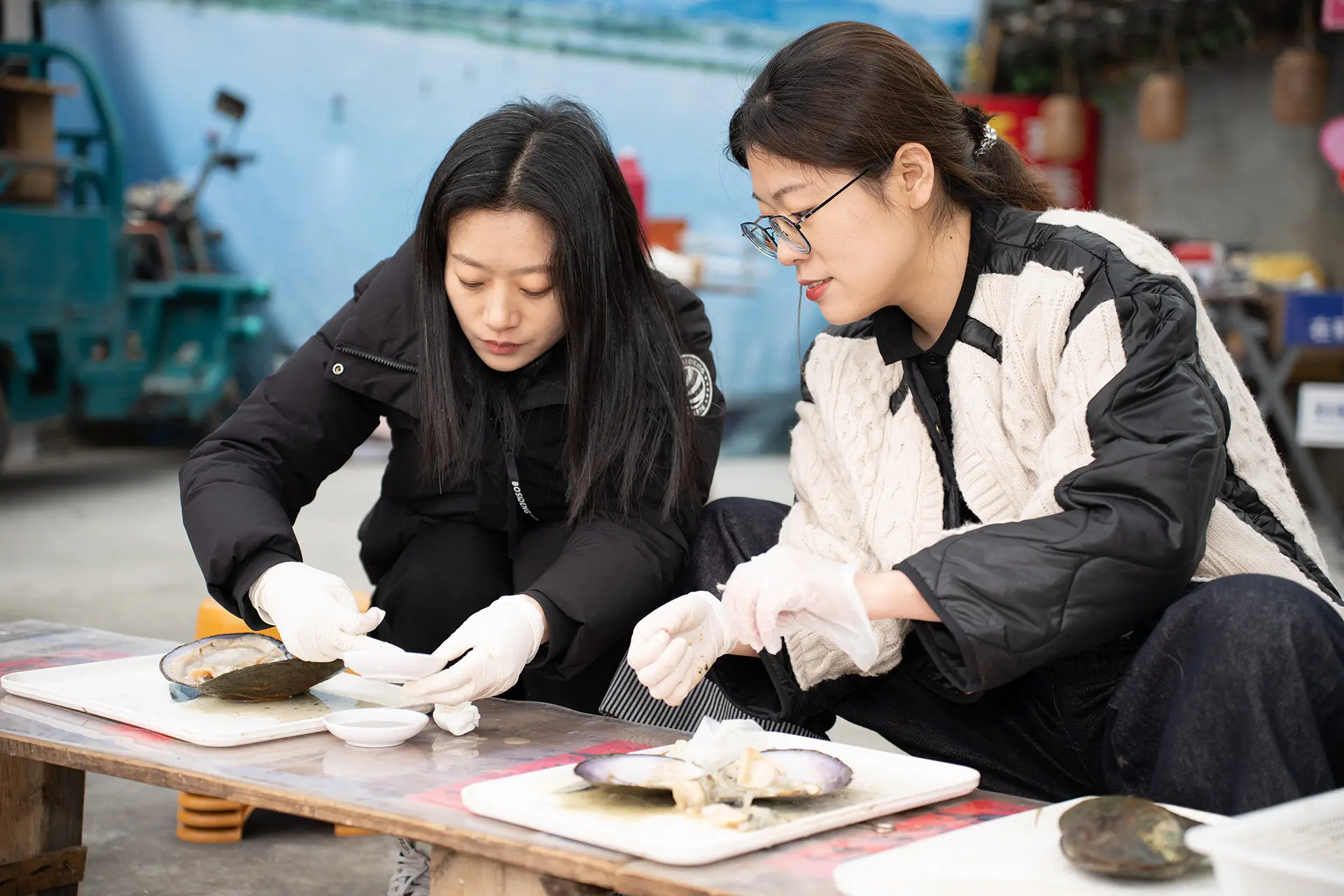 Field Expedition of Pearls