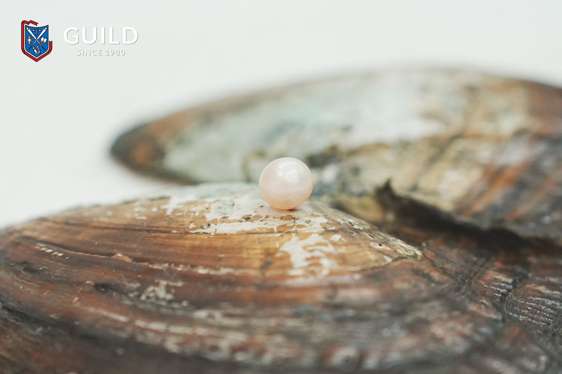 Pearls Identification and Evaluation