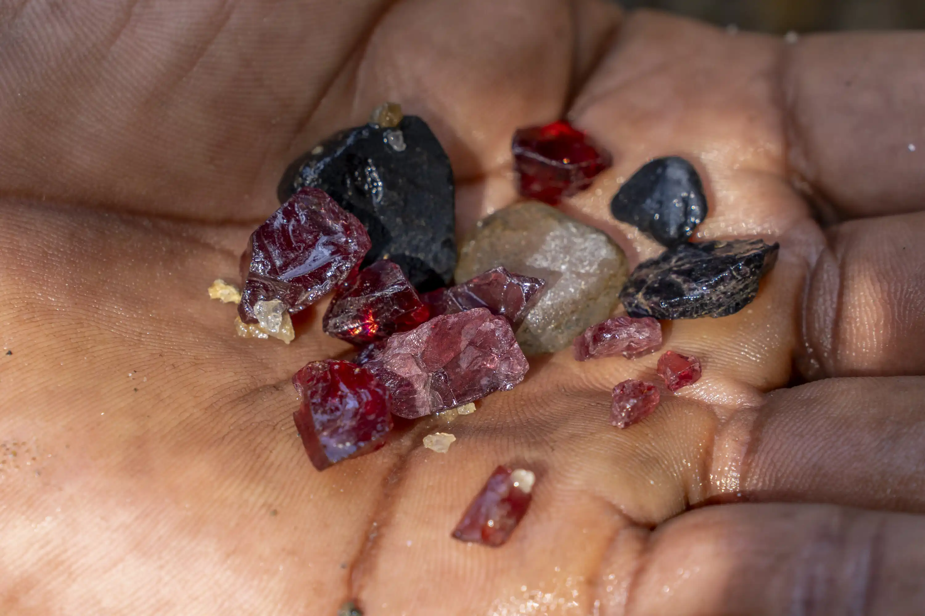 Ceylon Gem Fields