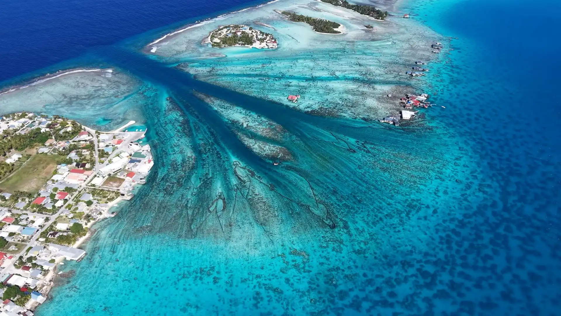Tahiti Pearl Expedition