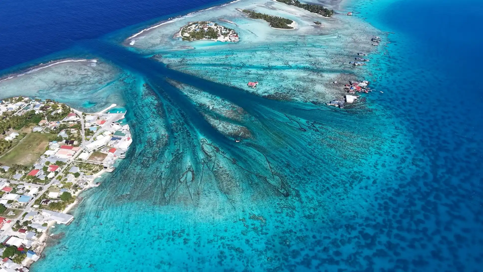 Tahiti Pearl Expedition